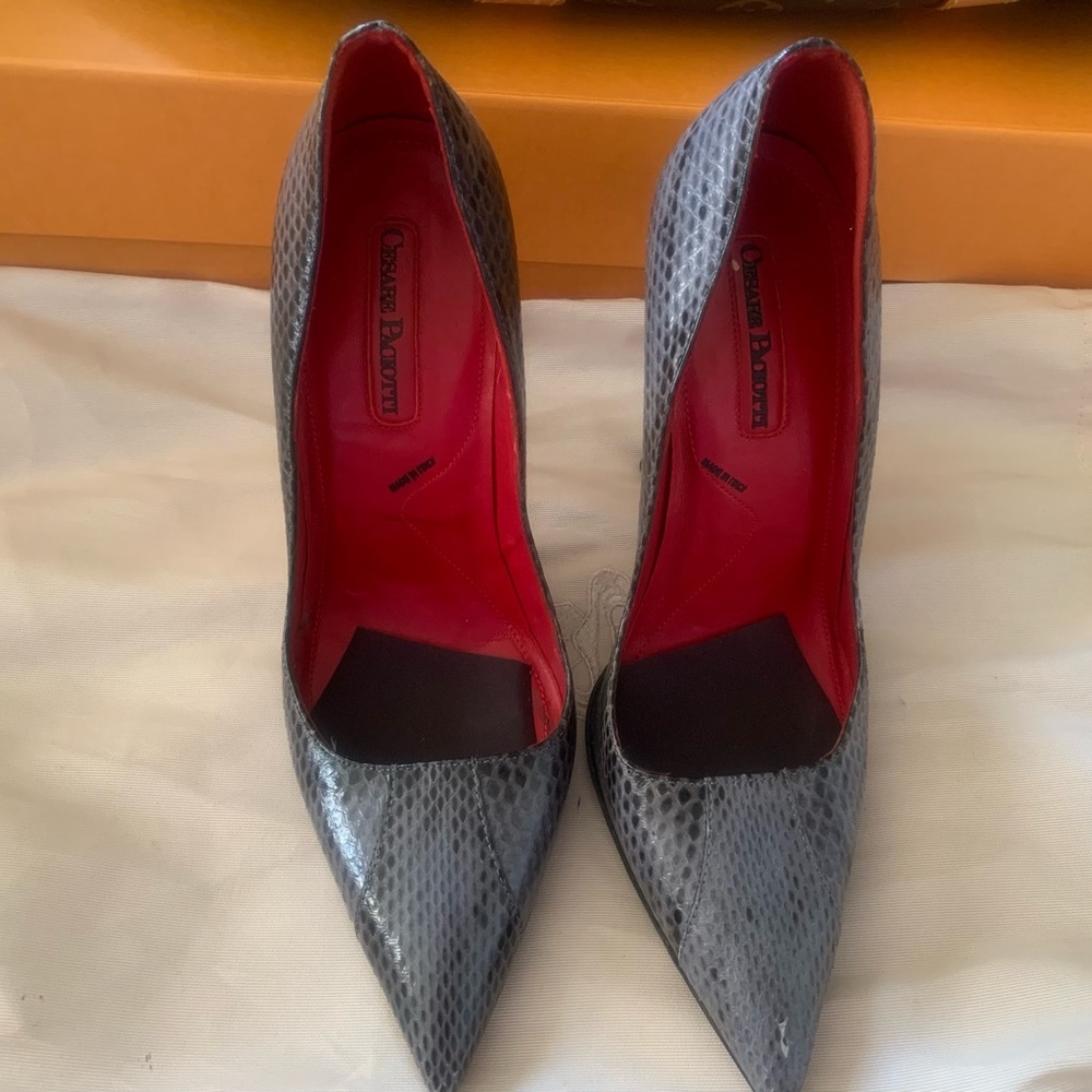 Elegant Cesare Paciotti Stilettos